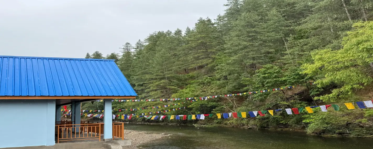 Natural Beauty around Green Rivulet Homestay